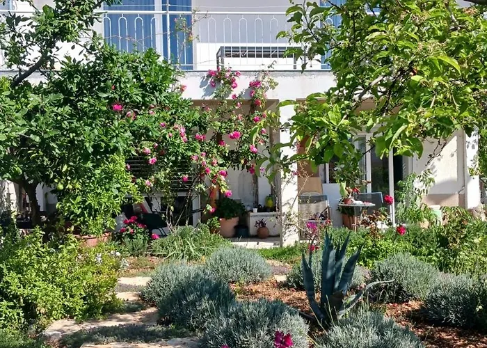 Sunce 프리모스턴